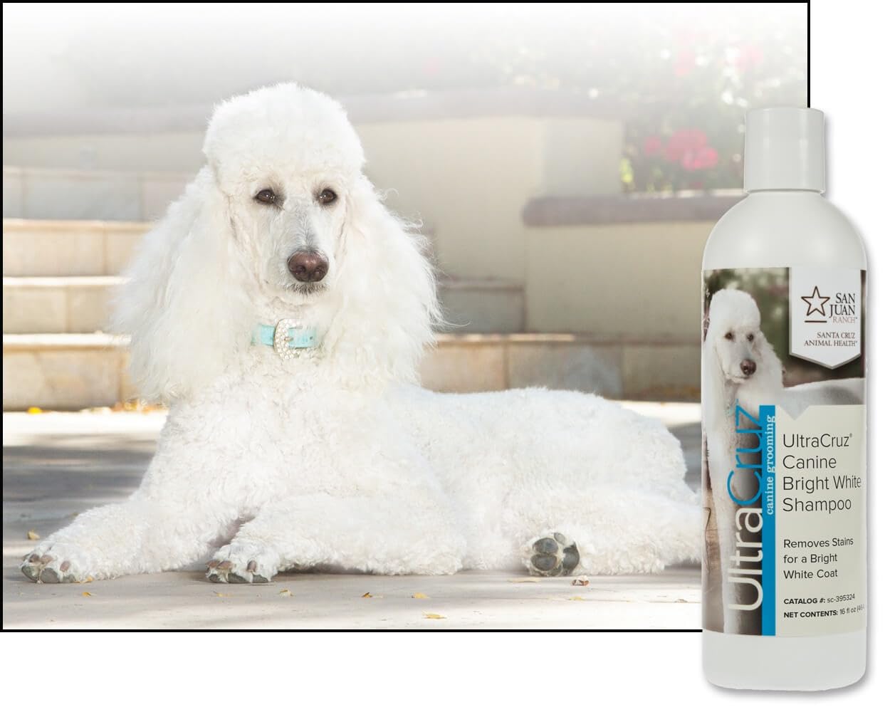 UltraCruz® Canine Bright White Shampoo dla psów, 16 uncji