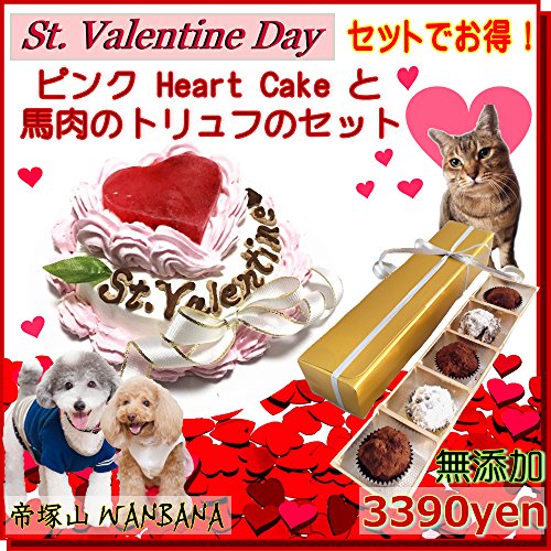 妹が犬の前でケーキ食った結果ｗｗｗｗｗｗｗｗ ニコニコ動画