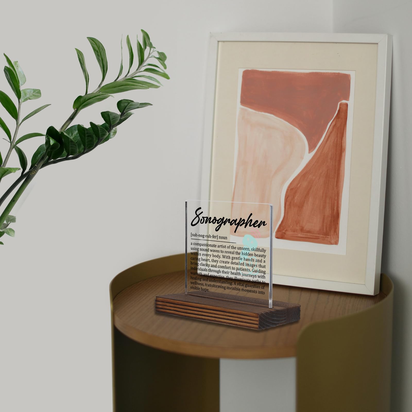 Sonographer Gifts, Thank You Desk Sign for Ultrasound Technicians, Appreciation Plaque for Medical Imaging Staff, Graduation Birthday Office Decor for Sonography Professionals PA023