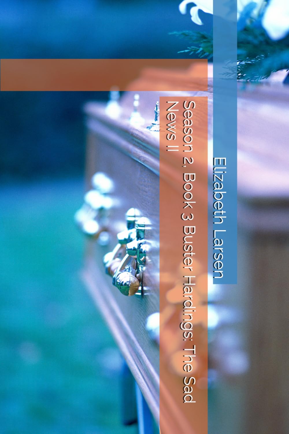 Season 2, Book 3 Buster Hardings: The Sad News II