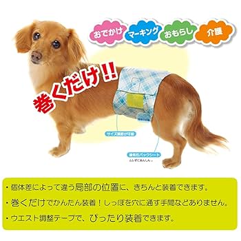 男の子のためのマナーおむつ　おしっこ用ビッグパック　小〜中型犬用38枚　6個入り Amazon | 男の子のためのマナーおむつ ビッグパック 小~中型犬用