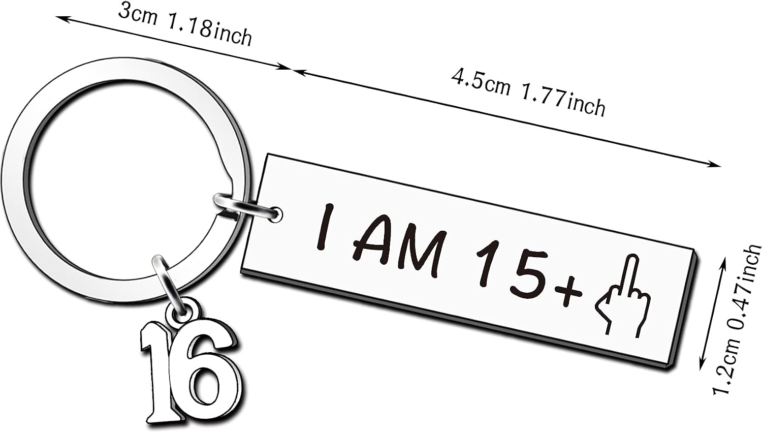 JMIMO Funny 16th Birthday Gifts for Boys Girls Happy Bday Stainless Steel Keyring Idea as a Joke Celebration Best 16th Birthday Presents - Image 3
