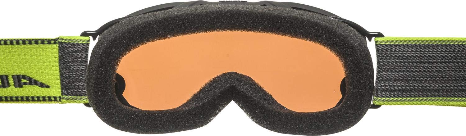 ALPINA Pheos Jr. Q-lite Lunettes de ski Unisex-Youth (lot de 1)