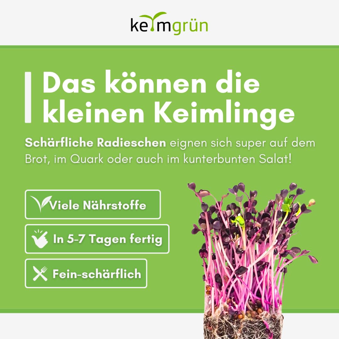 Bio Radieschen rot Samen - Sprossensamen für Sprossenglas oder Microgreens, Plastikfreie Verpackung, Regional Abgefüllt in Deutschland, Wähle zwischen 250g, 500g und 750g