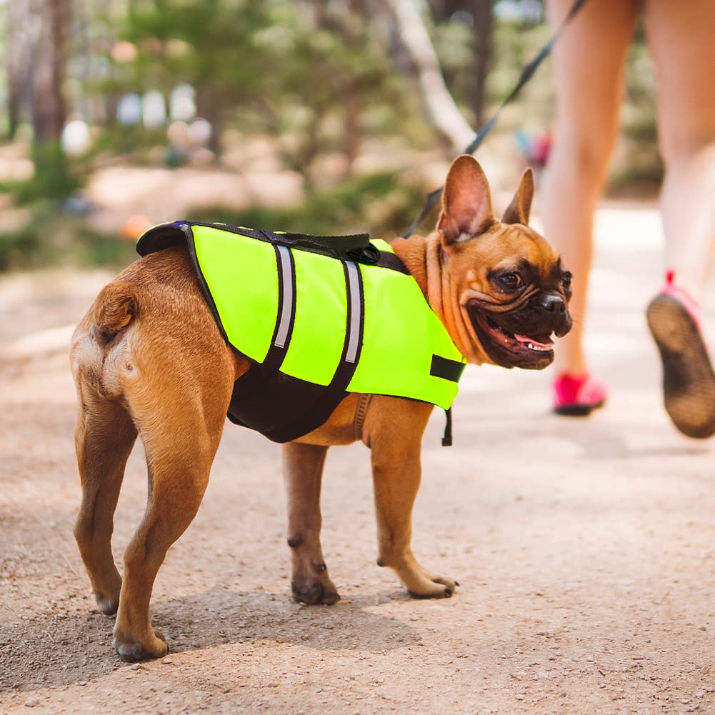Gilet de Sauvetage Chien, FainFun Gilets de Sauvetage pour Chiens avec Bandes Réfléchissantes/Ceinture Réglable (Vert, XL)