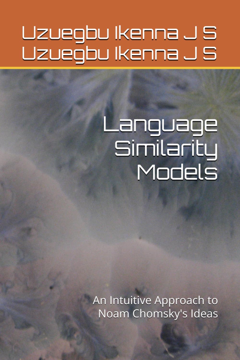 Language Similarity Models: An Intuitive Approach to Noam Chomsky's Ideas