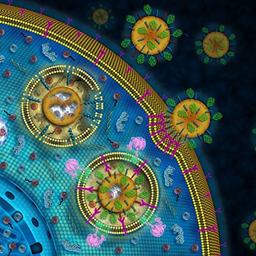 Page de couverture de COVID-19: Vaccine Mechanism of Immunogenicity