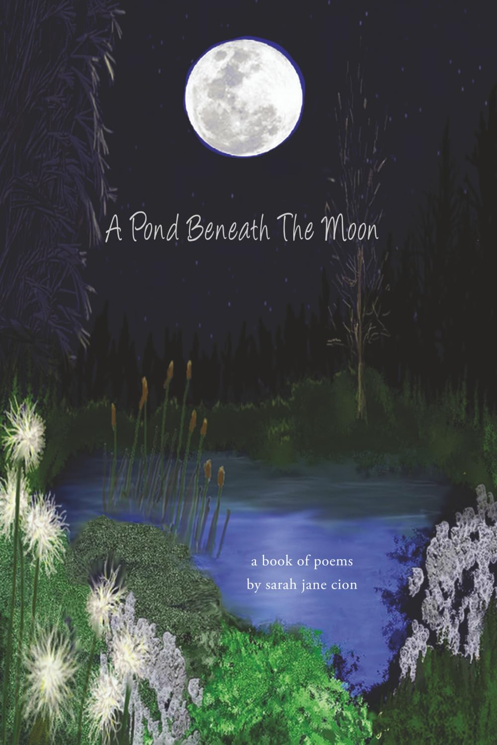 A Pond Beneath the Moon: a Book of Poems
