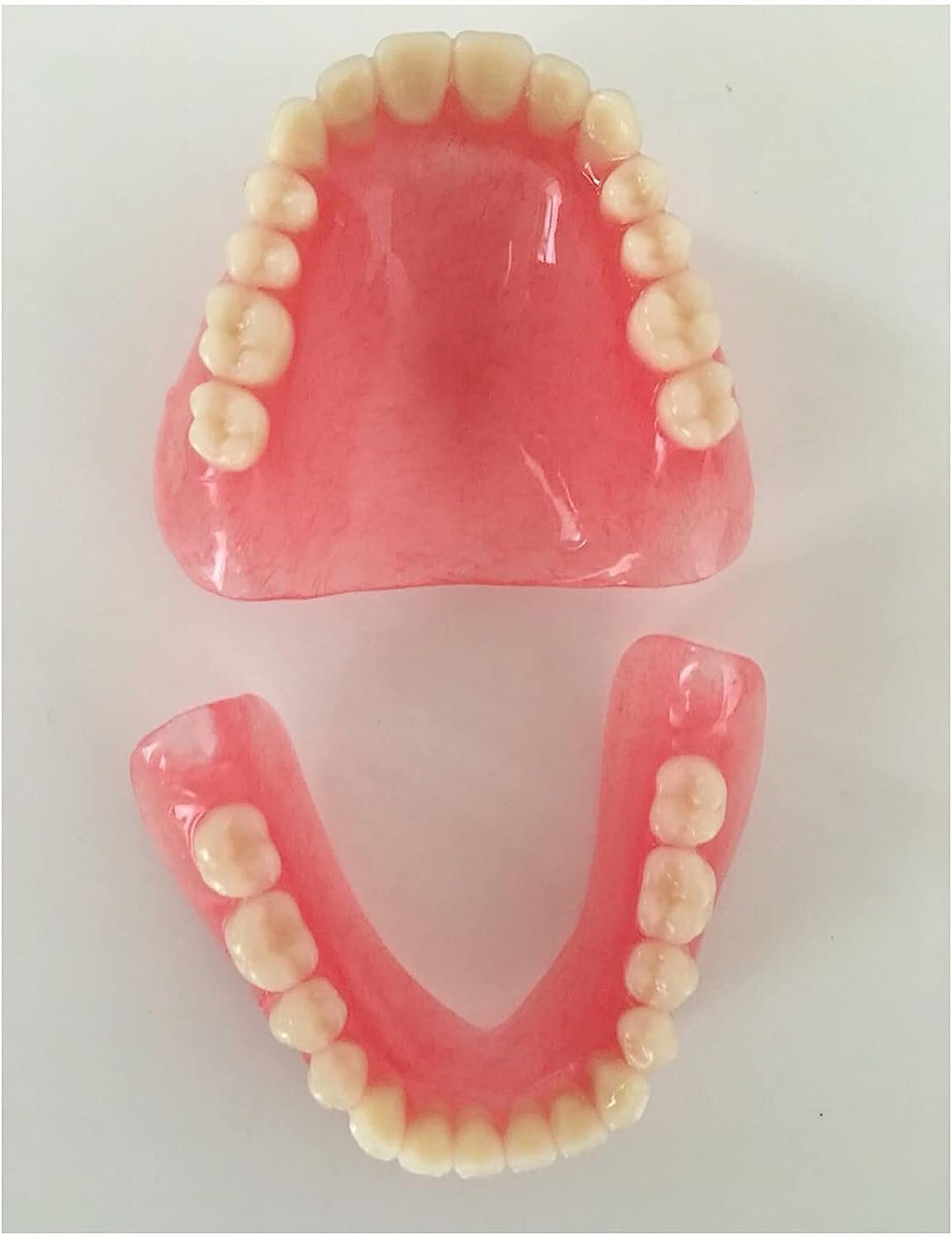 Model protezy górnych i dolnych zębów dla dzieci lub dentystów, studentów, demonstracji, nauki, narzędzie do nauki