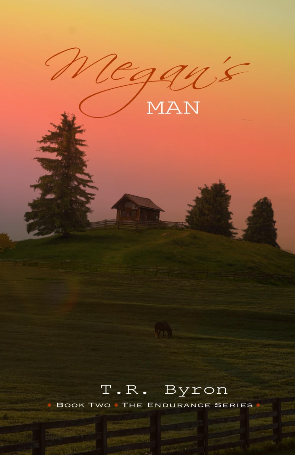 Megan's Man: Endurance Series Book 2

Amazon.Com Rank: N/A

Click here to learn more or buy it now!