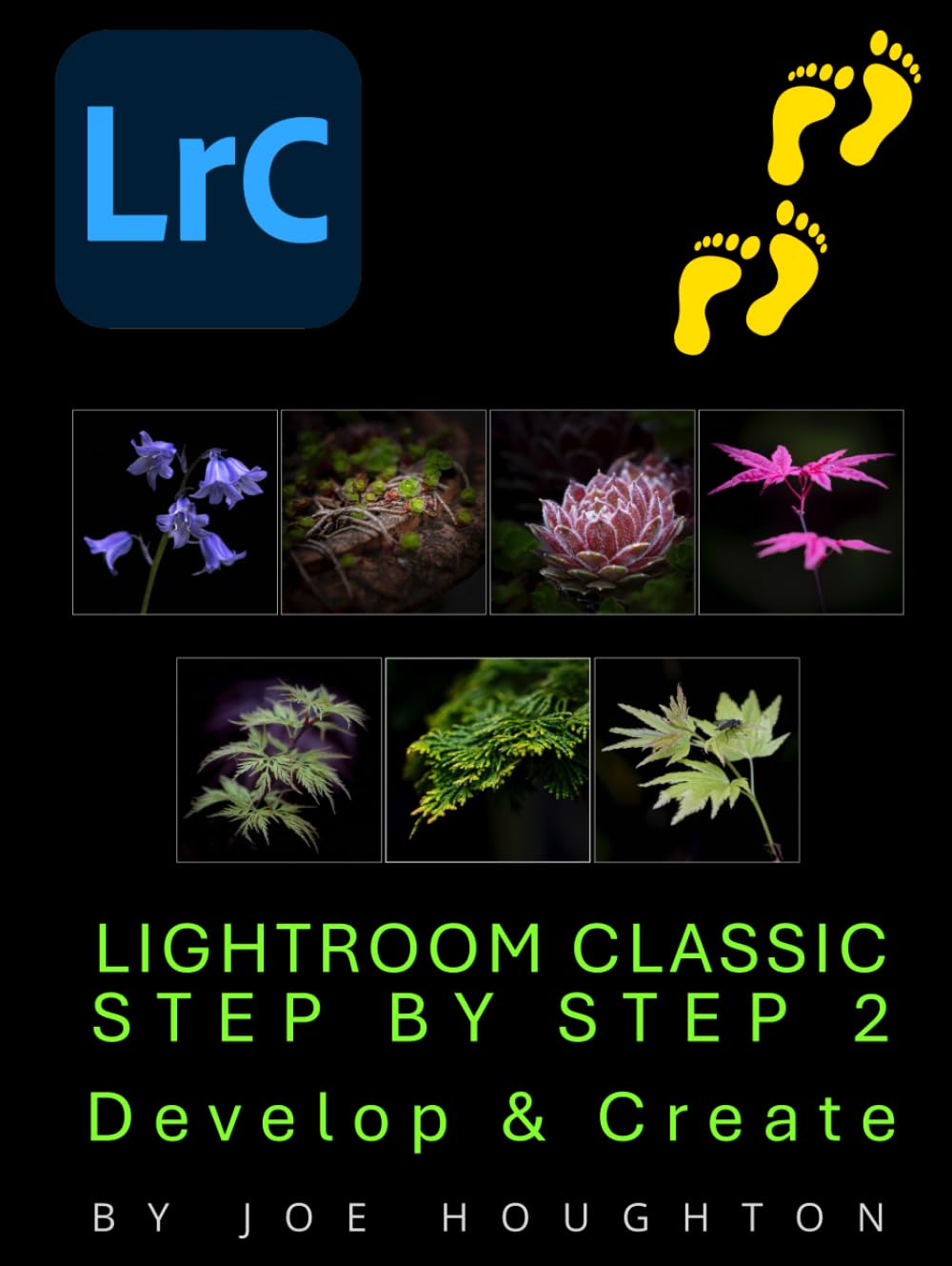Lightroom Classic Step by Step 2 : créez de superbes photos de voyage