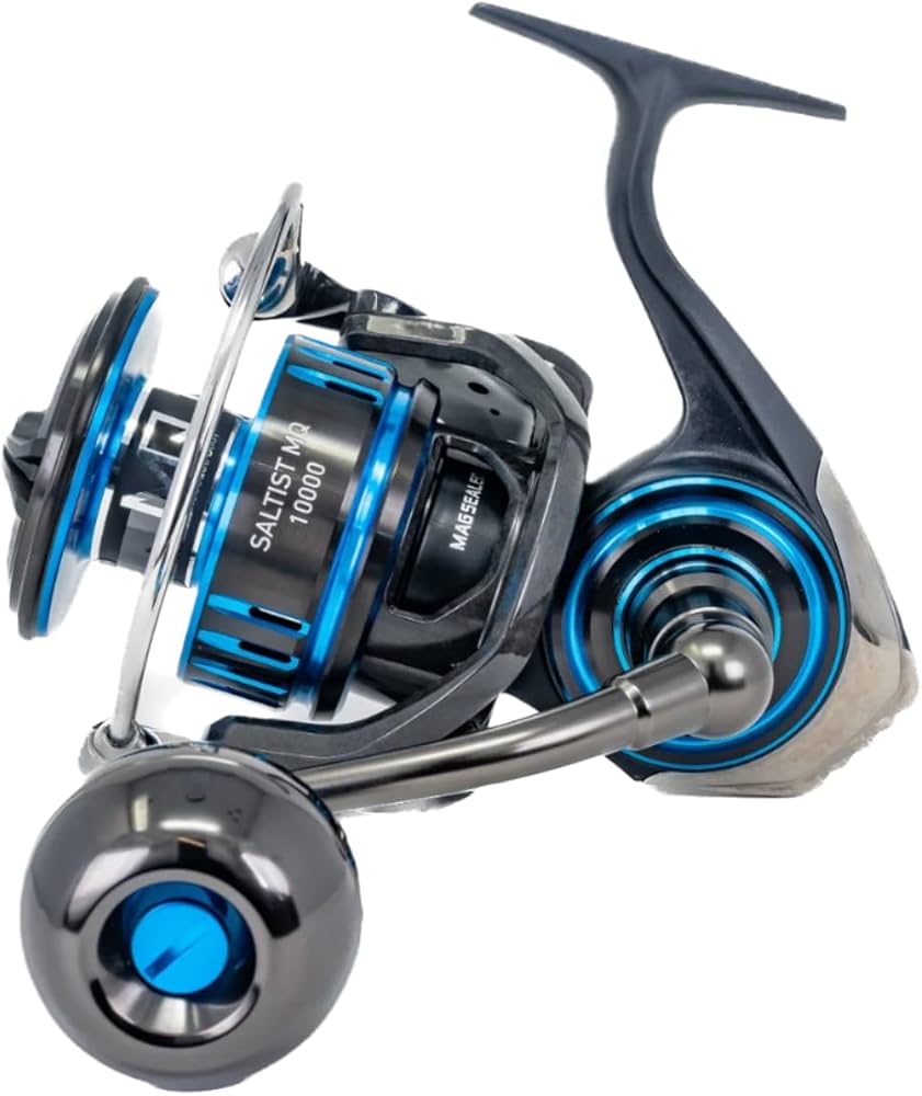 リール SALTIST ソルティスト TW PE SPECIAL(リール)｜DAIWA