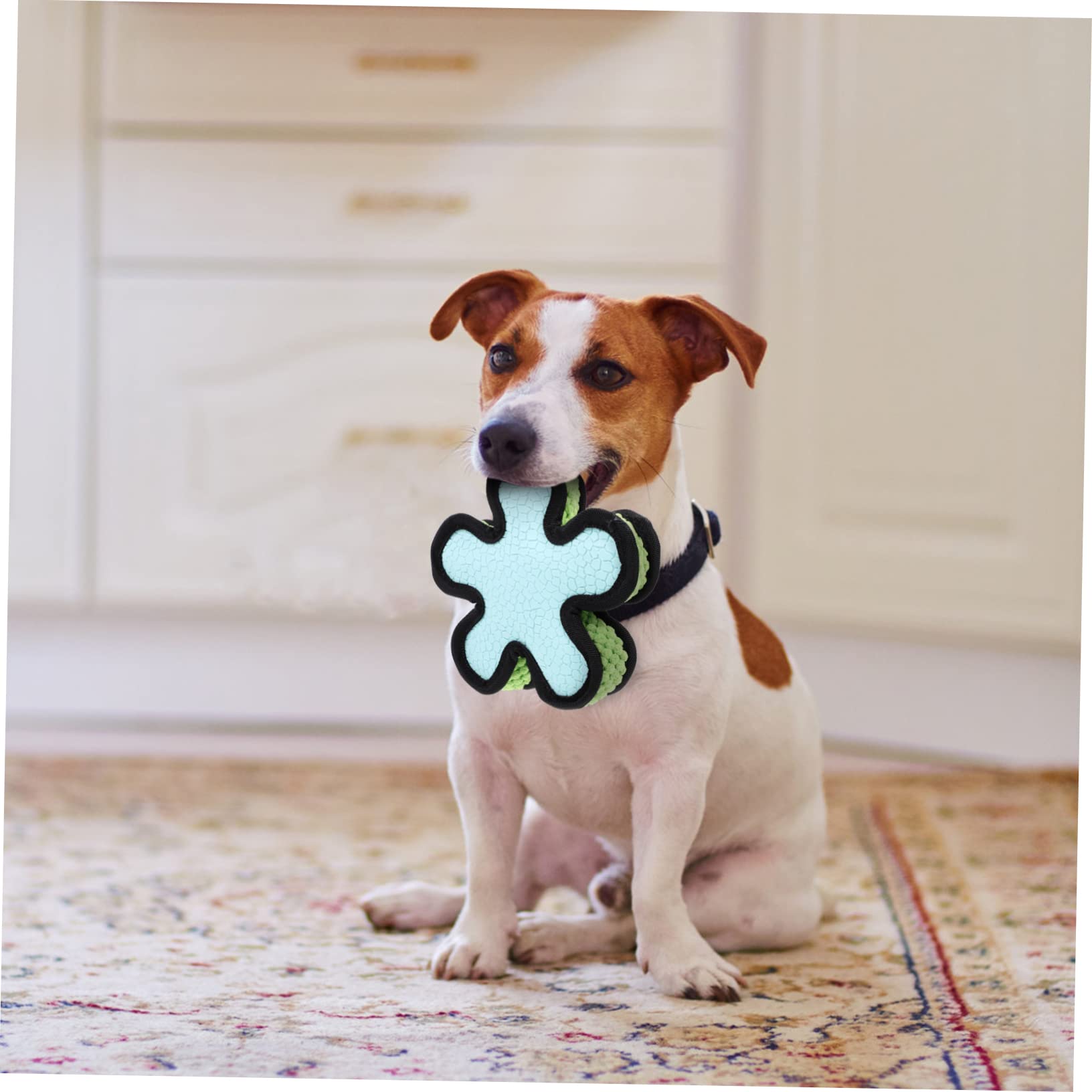 FRCOLOR 3 Piezas Juguete para Mascotas Muñecos Juguete Perro Pequeño Perrito Juguete Bonecas Juguetes para Perros Cachorros Emulsión Resistente a Mordeduras Juguete De Sonido