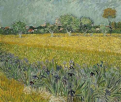 Affiche Toile Van Gogh Champ d'iris près d'Arles pour décoration 60x90cm