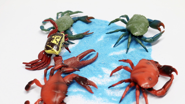 Amazon.com: Hiawbon 10 Pieces Realistic Crab Figurine Models