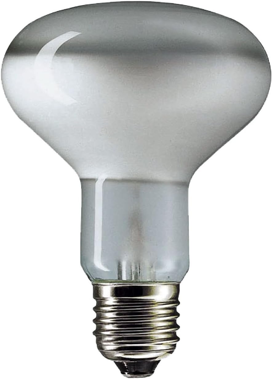 Small dimmable light bulbs Clearance