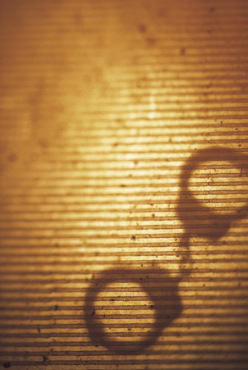 History of Law: From Ancient Custom to Courts, Constitutions, Human Rights, Artificial Intelligence, Climate Justice, and the Future of Civilization
