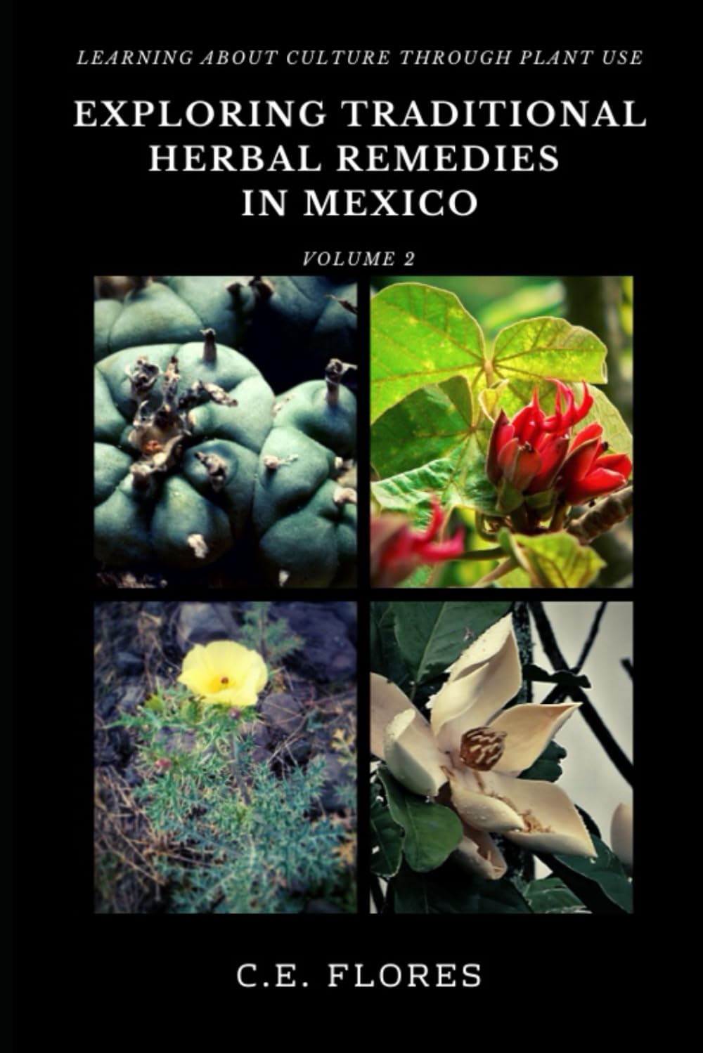 Exploring Traditional Herbal Remedies in Mexico: Learning About Culture Through Plant Use
