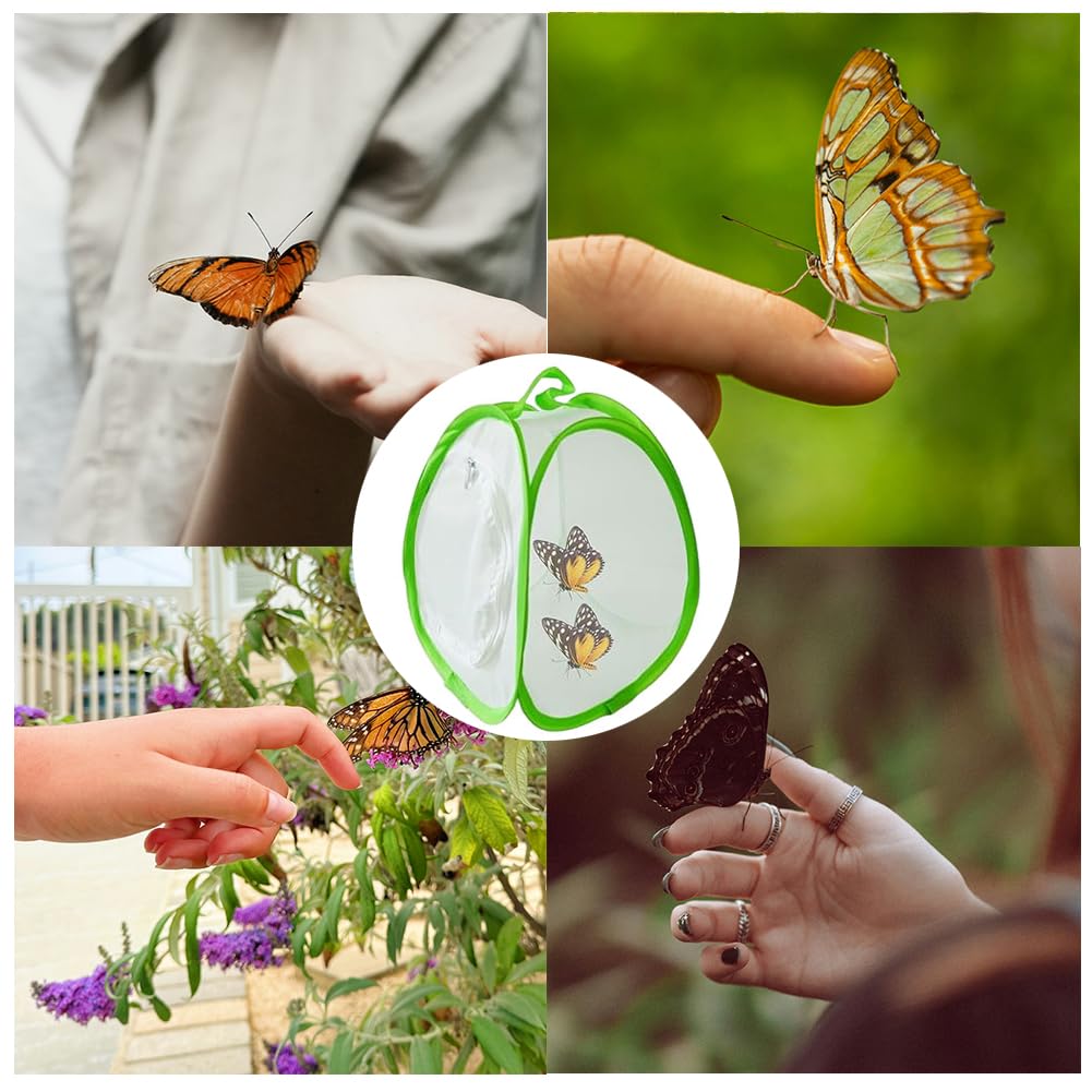 Gabbia per Farfalle in Mesh Pieghevole per Habitat Piante e Insetti