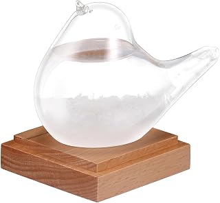Prévisions météo en verre d'orage, en forme d'oiseau, stations météo en verre d'orage, prévisions météo, prévisions décoratives, cadeau scientifique, tête vers le haut