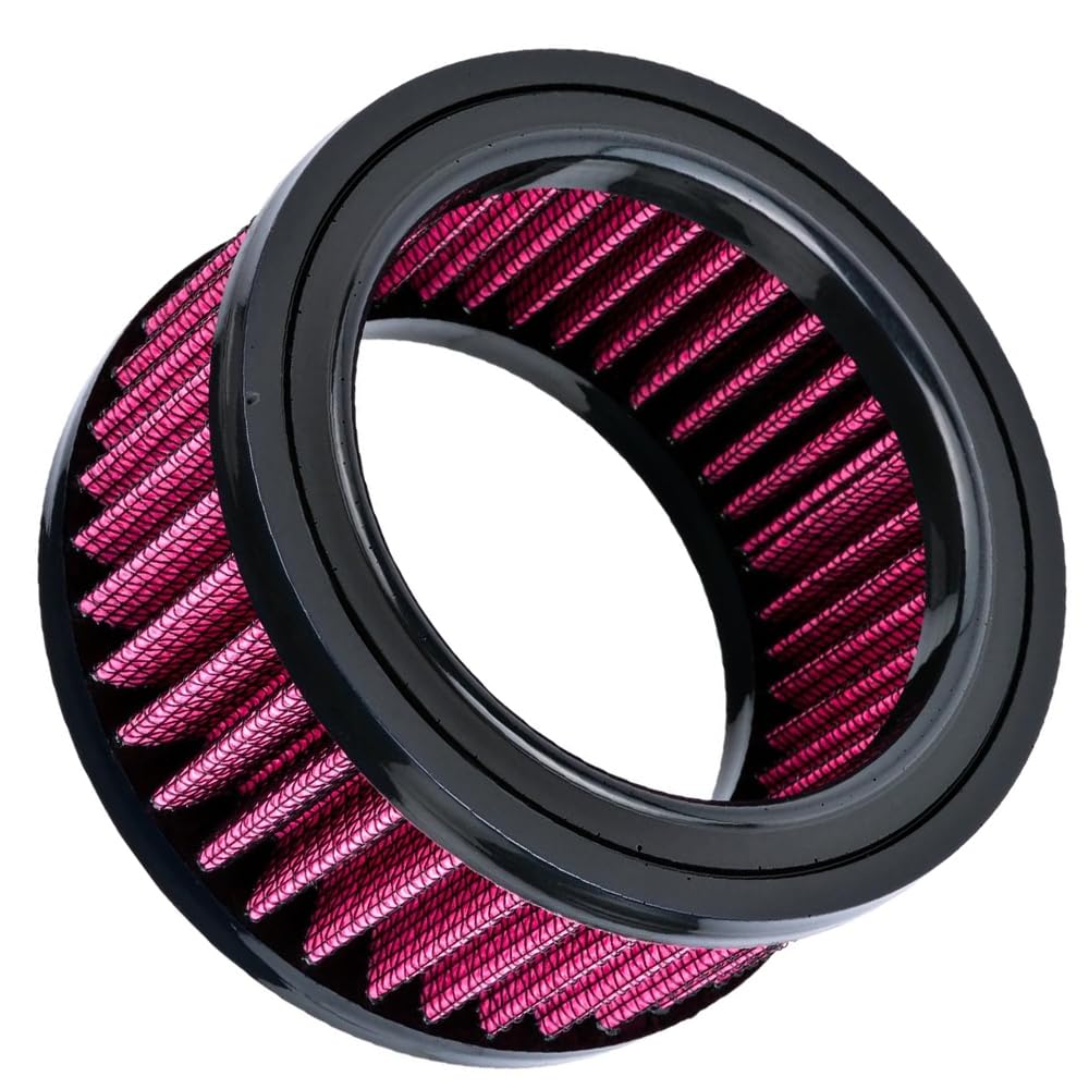 Riloer Elemento filtrante dell'aria per moto, elemento filtrante dell'aria per moto Compatibile con Harley Sportster Iron XL 883 XL1200 Sport Nightster 72 Forty-Eight 1991-2021