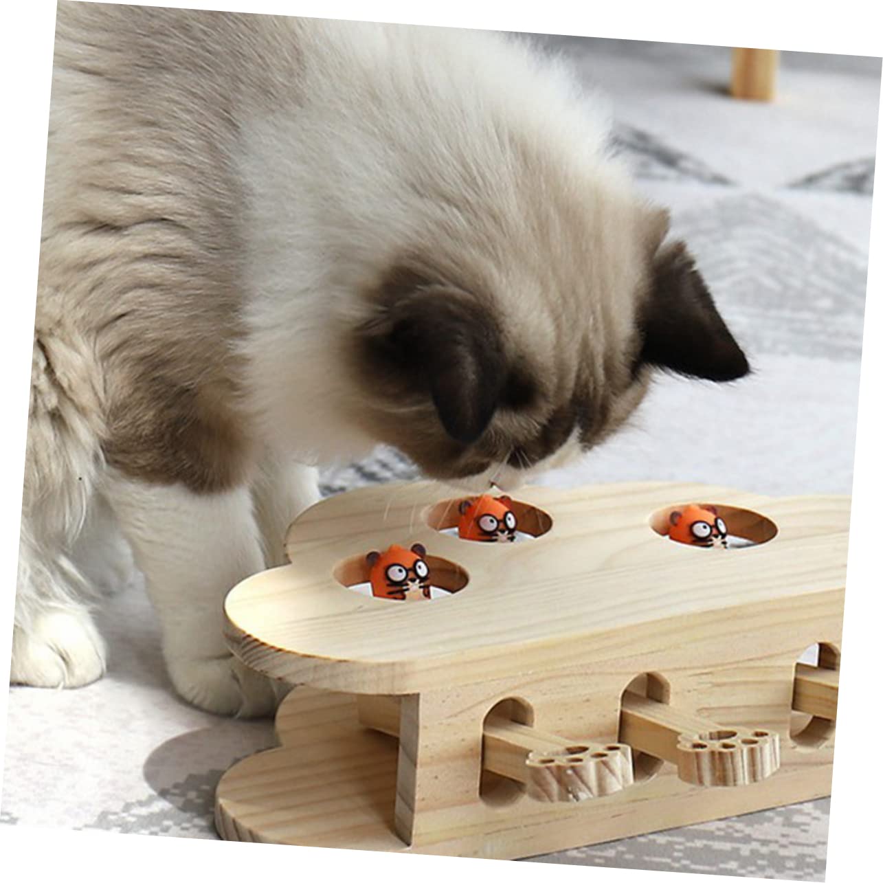 Toddmomy Jouet Souris pour Chat Et Griffoir Éducatif Jouet Interactif pour Animal De Compagnie Motif