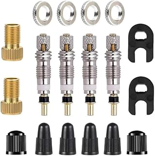 DACUAN 18Pcs Valve Repair Kit, Tubeless Brass Core Replacement with Schrader Valve Adapter and Caps Bicycle Tire Accessori...