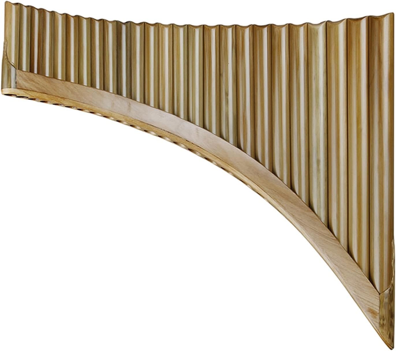 PLAYTECH (プレイテック) エスクラリネット エスクラリネット PTCL200E