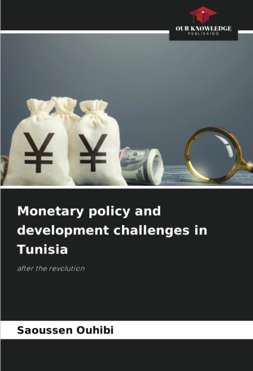 Monetary policy and development challenges in Tunisia: after the revolution