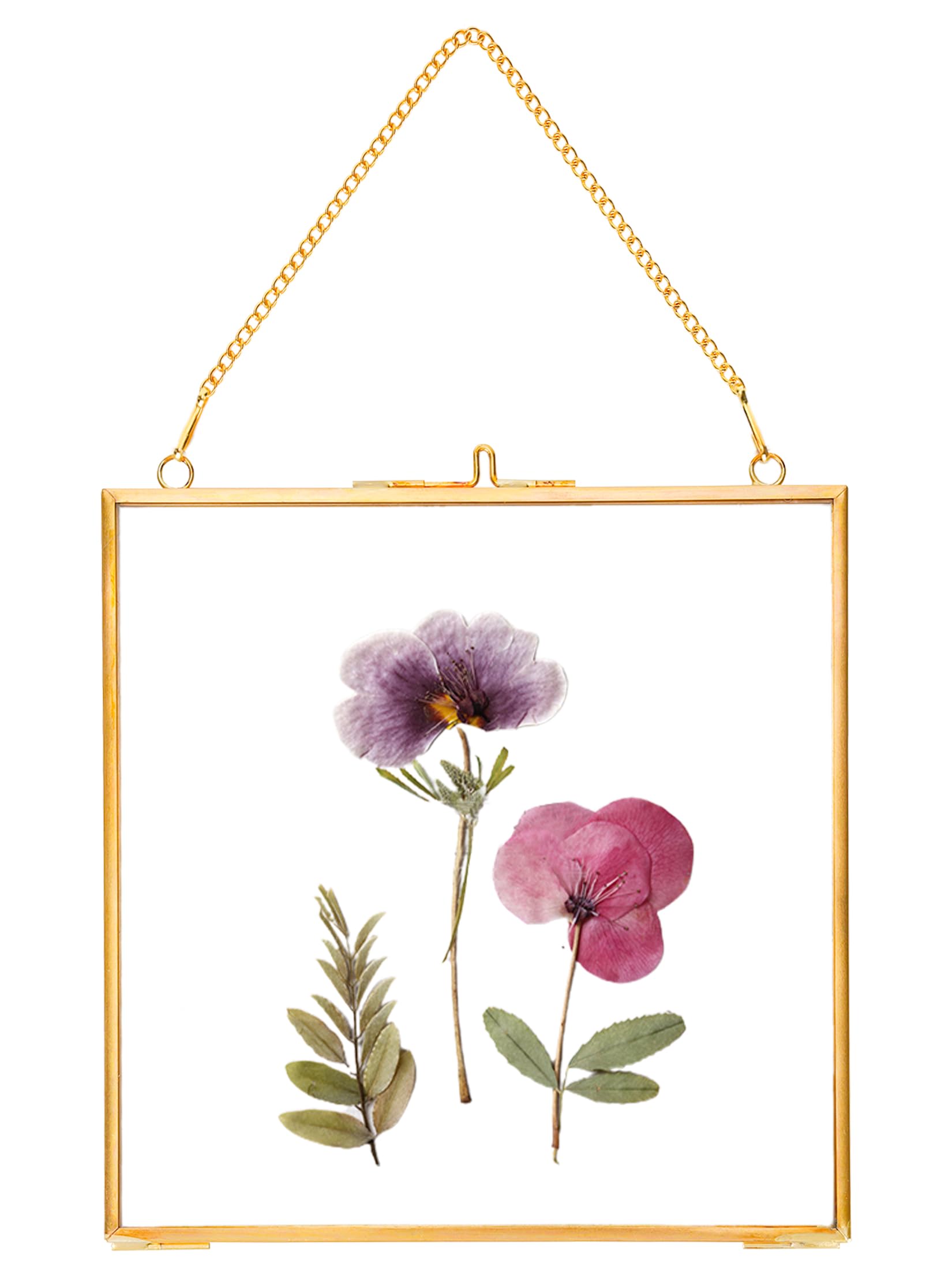 REDHUGO gepresste Blumenrahmen, schwebende Glasrahmen zur Präsentation von getrockneten Pflanzenspezimen, hängender Messing-Fotorahmen mit Kette, doppelt klares Glas, Vintage Wanddekoration, Quadrat