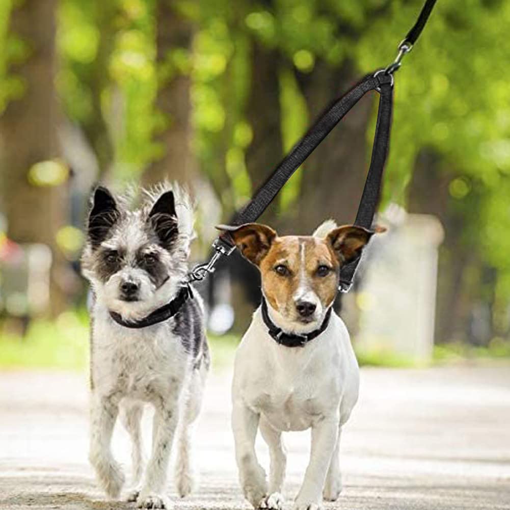 Accoppiatore divisore per guinzaglio per Animali Domestici a Doppio guinzaglio per Cani per Imbracatura per Collare per Animali Domestici Blu per Uso Domestico