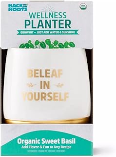 30+ Box Lunch Ideas for Adults That Are Tasty and Practical 19 Wellness Grow Kit: Basil