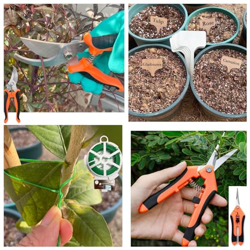 Set de Herramientas de Jardín para Mujeres, Kit Básico de 9 Piezas miniatura 4