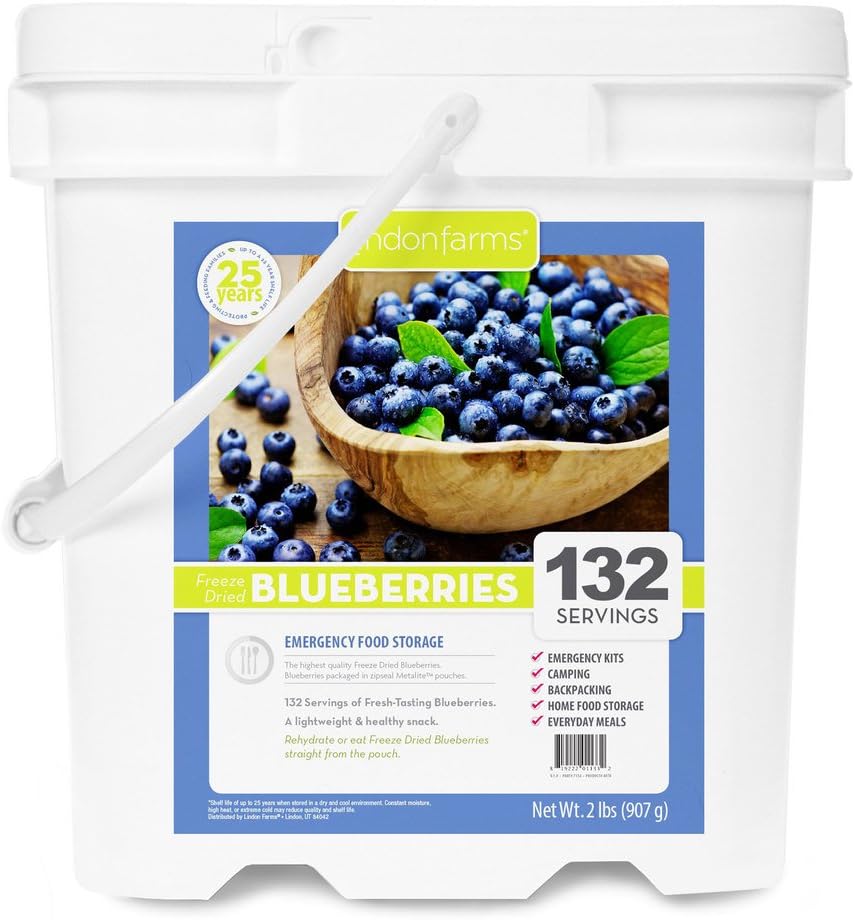 Freeze Dried Blueberries (132 Servings)