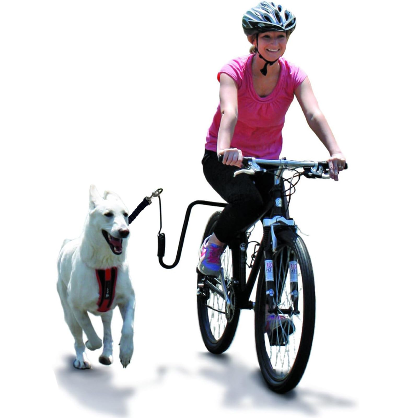 Montierte Trainingsleine für Hunde
