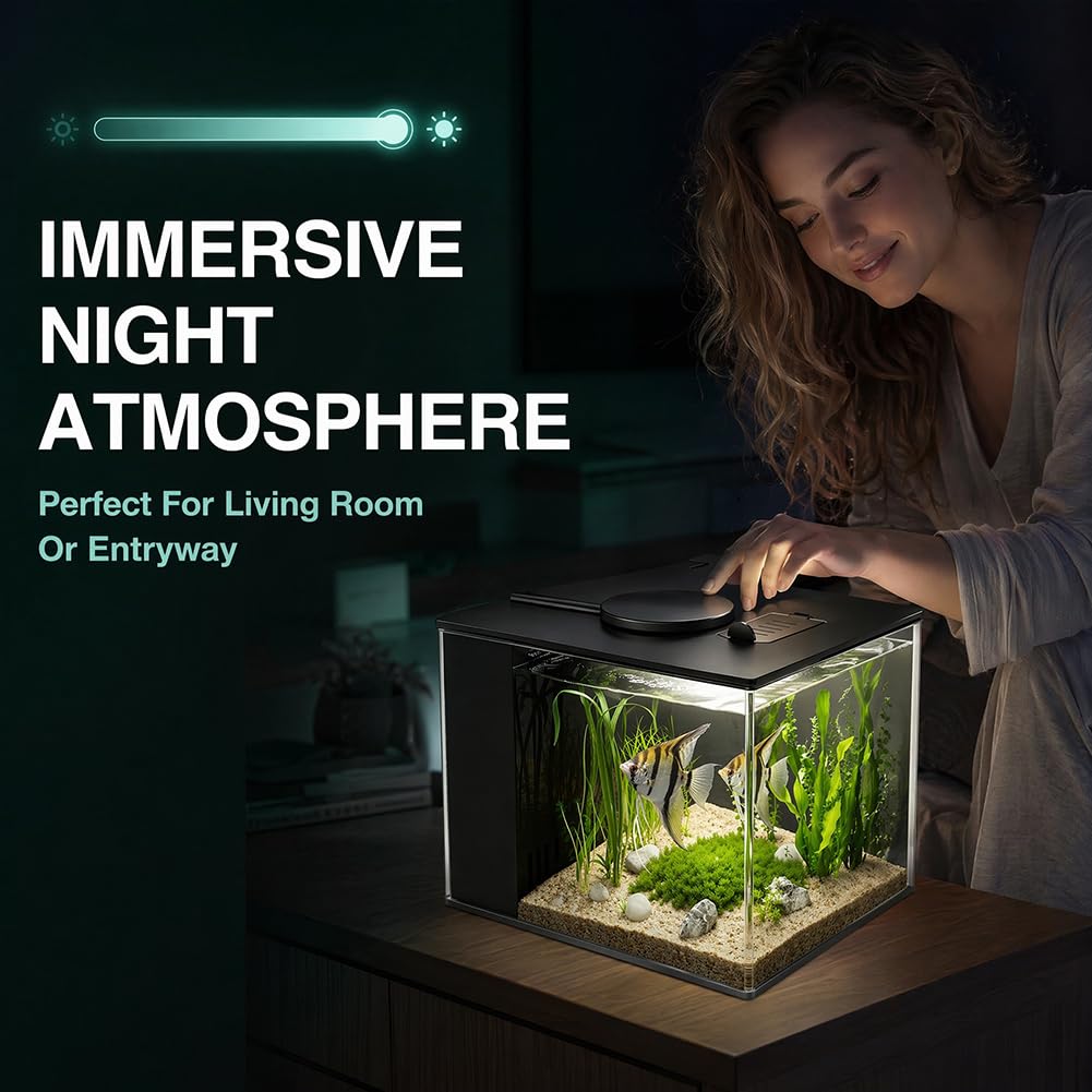 DASIAUTOEM Petit aquarium Betta complet 15 x 11 x 13 cm, mini aquariums en acrylique, aquarium, luminaires, nourriture pour poissons et système de filtration intégré, pour petits poissons, crevettes
