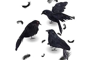 PAMASE Realistic Black Crows