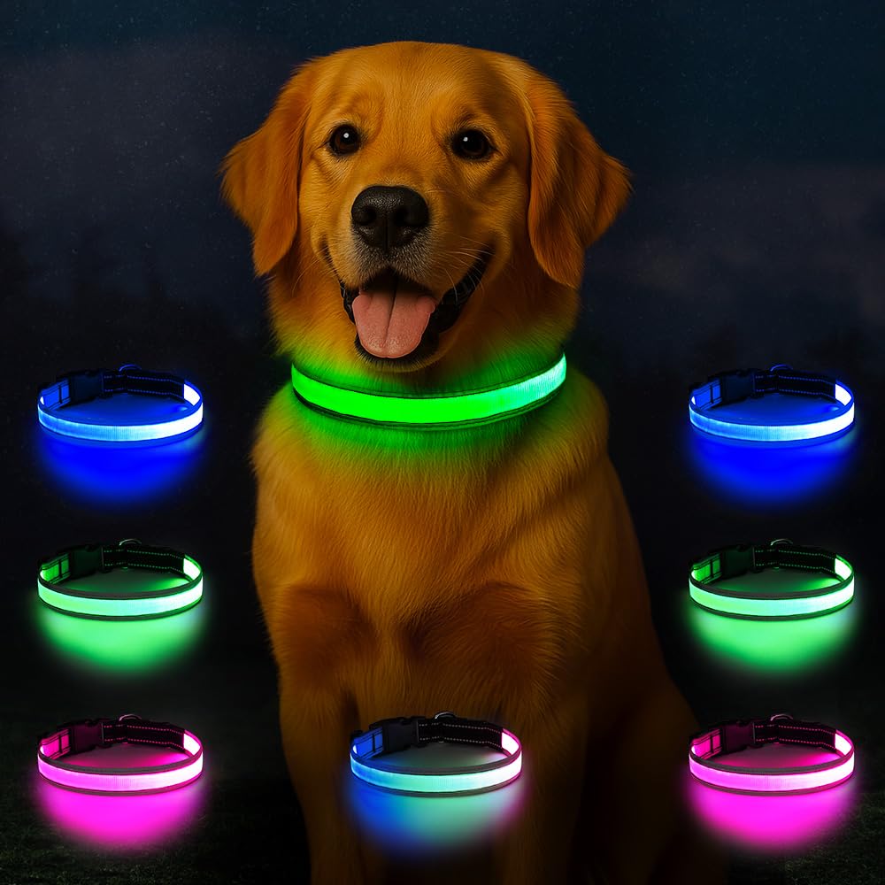 Light Up Dog Collar USB-C Rechargeable, Reflective Glow in The Dark Dog Collar with 7 Lighting Modes, Adjustable LED Pet Collar for Night Safety with Battery Indicator (Small)