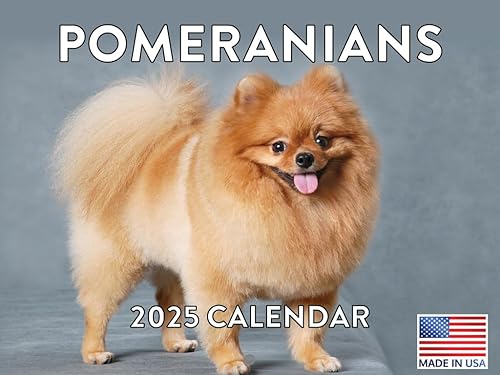 Vista 25 de Calendario Goldendoodle 2026 Golden Doodle mensual de pared calendario de 12 meses Fabricado en Estados Unidos