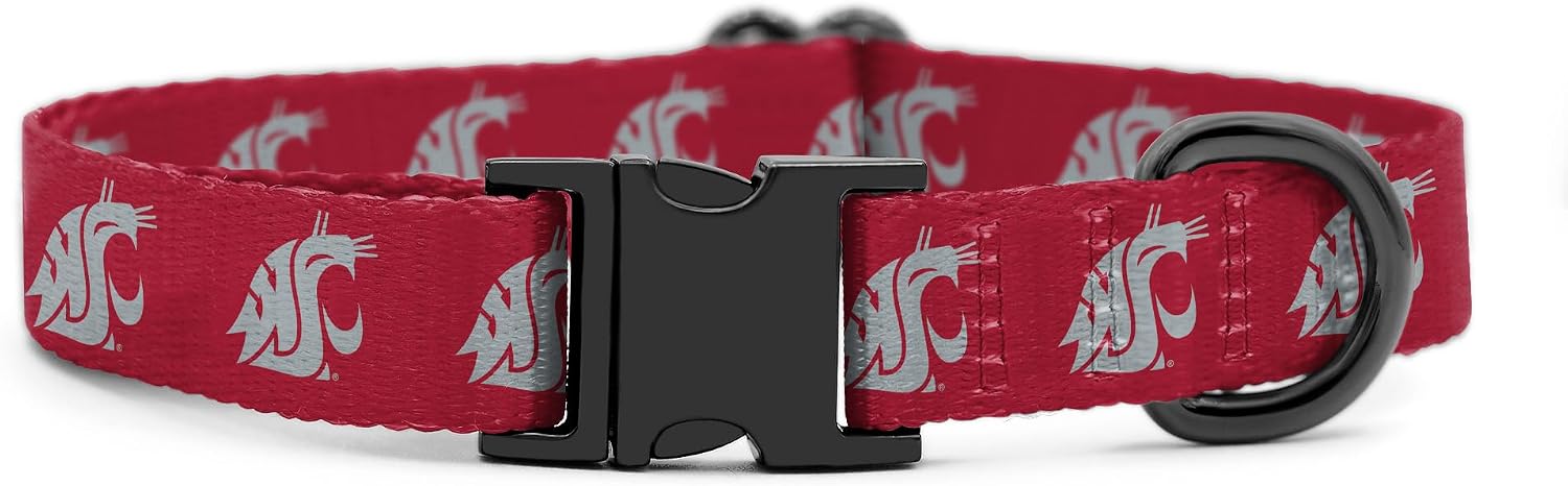 Washington State Cougars Collars and Leashes | Officially Licensed | Fits All Pets! (Large Collar)