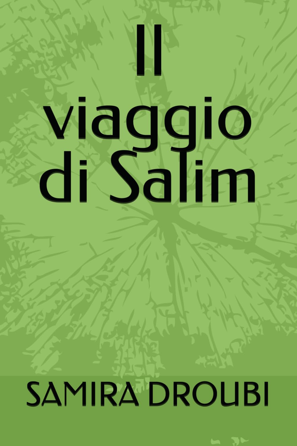 Il viaggio di Salim