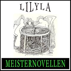 Meisternovellen 29 Audiolibro Por div. arte de portada