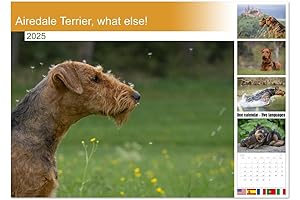 Airedale Terrier Calendar 2025