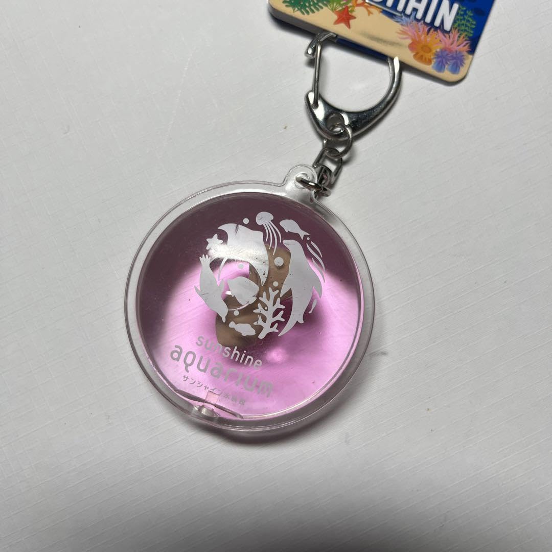 Amazon.co.jp: サンシャイン水族館 コツメカワウソ ウォーター