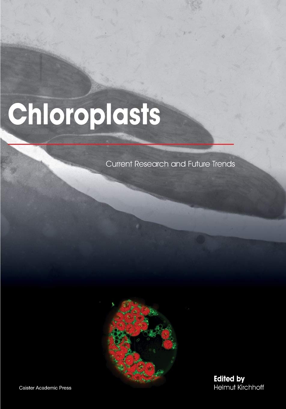 Buy Chloroplasts: Current Research and Future Trends — BookShops.in