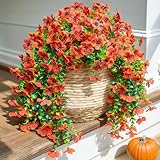The Best Plants for Fall in Florida: Vibrant Picks for Your Garden 5 61Ku+P1Y5mL. SL160