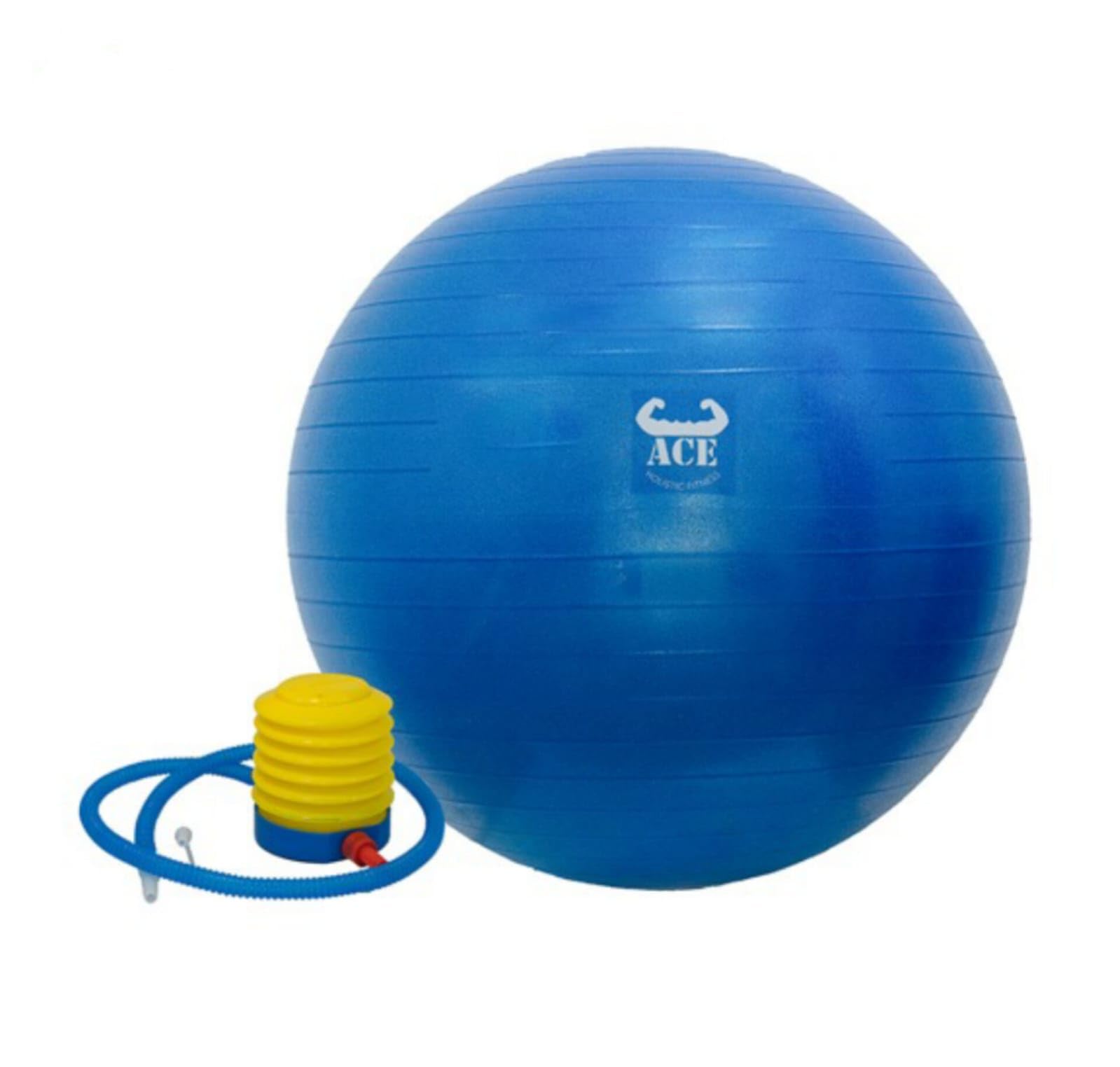 ACE Holistic Fitness Gym Ball for Workout, Exercise | Yoga Exercise Ball for Pregnancy, Stability | Round Shape Swiss Ball | 75cm (Blue) (B0CY2SF47Y) Amazon Price History, Amazon Price Tracker