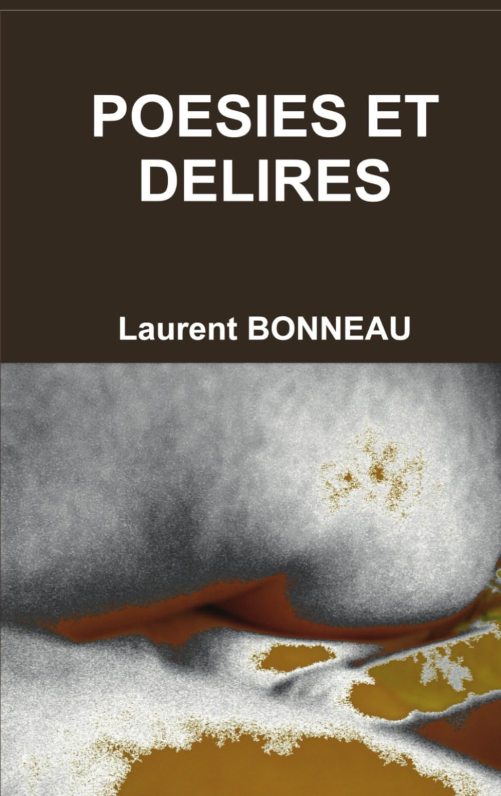 Poésies et délires: Fin d'une période