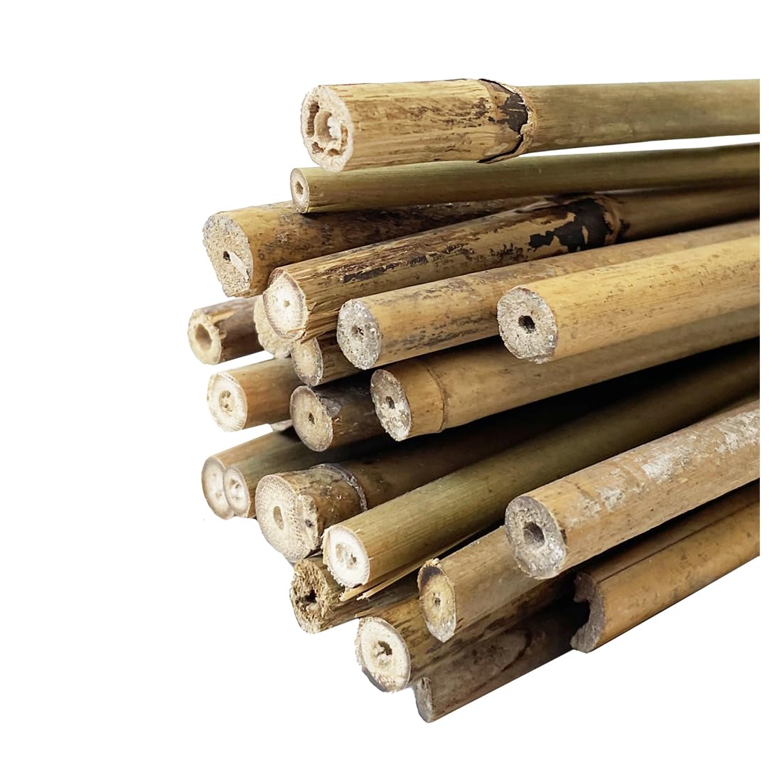 Acomoda Textil - Tutores de Bambú para Agricultura y Jardinería - Pack 30 Varillas Estables y Robustas (120 cm, 8/11 mm)