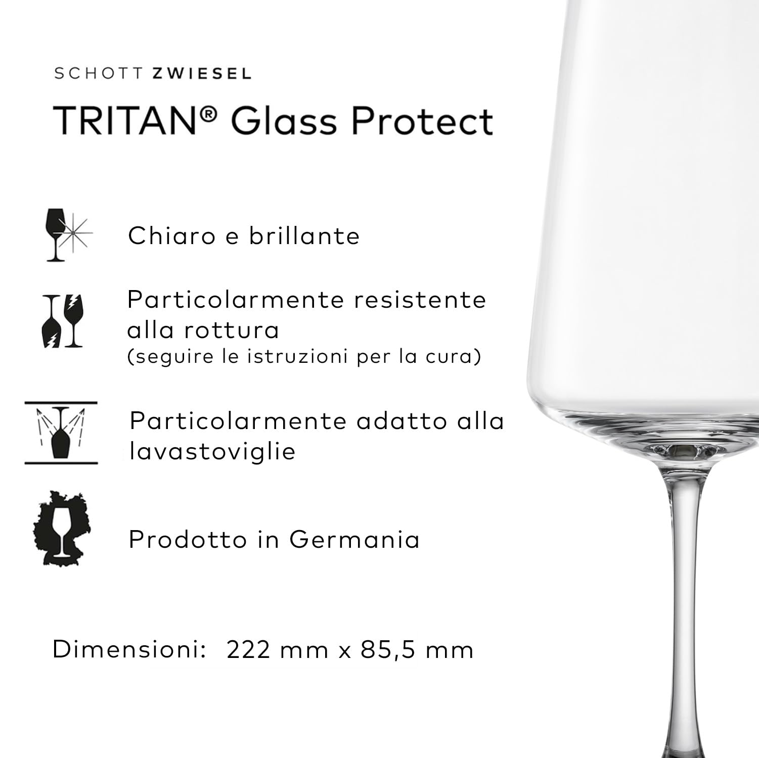 SCHOTT ZWIESEL Set di bicchieri MioVino (set iniziale da 12), moderni bicchieri da vino e da champagne in un set, bicchieri in cristallo Tritan lavabili in lavastoviglie, Made in Germany (art. 124072)